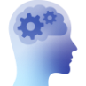 brain_function.png